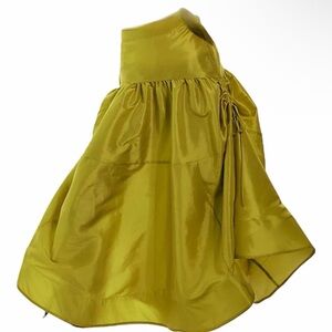 WORN ONCE Free People Chartreuse Maxi Skirt